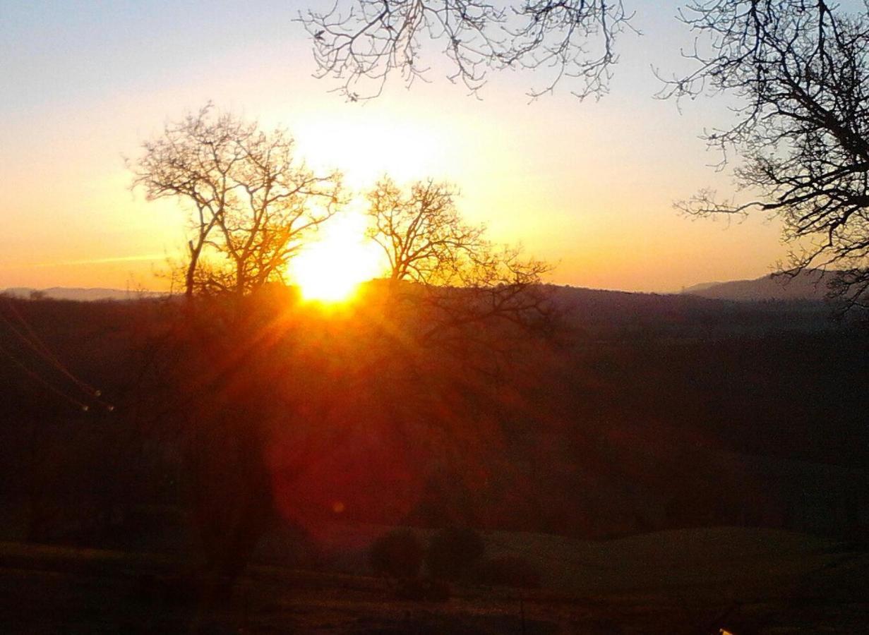 Il Laghetto Agriturismo Villa Manciano Bagian luar foto